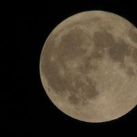 診療室の窓から ~初秋編