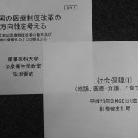 財政制度等審議会財政制度分科会が「社会保障」めぐり審議/保険外併用療法の対象拡大論など議論