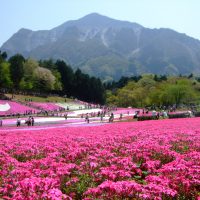 創立40周年特別企画 5月11日(土)に開催/参加申し込みを受け付け中!!