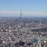 本年4月の統一地方選挙における歯科医師候補者は5氏
