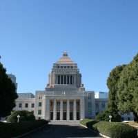 参院議員選挙での歯系候補者の状況/今後の動向が注目されるそのほかの医療職種の当選者