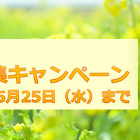 春の共済募集キャンペーンが始まりました!!