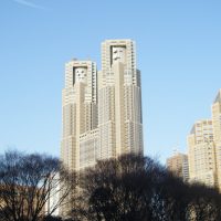 東京都議会議員選挙の開票結果