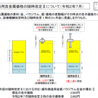 2020年7月に金パラ再改定、金パラ価格の高騰により